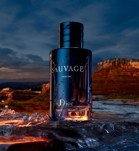 de parfum dior sauvage|dior sauvage perfume boots.